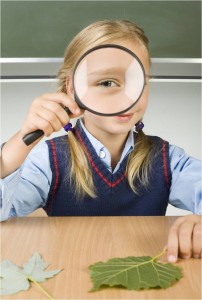 Sisteme de responsabilitate publică în administrarea învăţământului