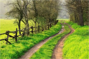 Tinerii din mediul rural. Nevoi şi aşteptări specifice