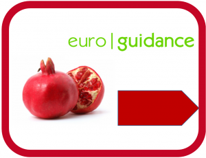 Euroguidance România - Arhiva