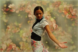 Programa de Formation Profesional para Mujeres Jovenes Gitanas (Integrarea socioprofesională a tinerelor fete de etnie roma)