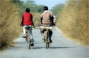 ProVoTrain – Progress in Vocational Training for Rural Development