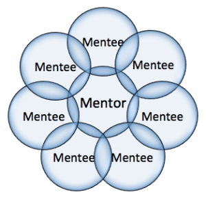 Program de mentorat pentru directorii de unităţi de învăţământul preuniversitar