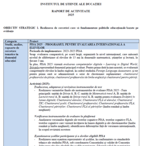 Raport de activitate - ISE 2025